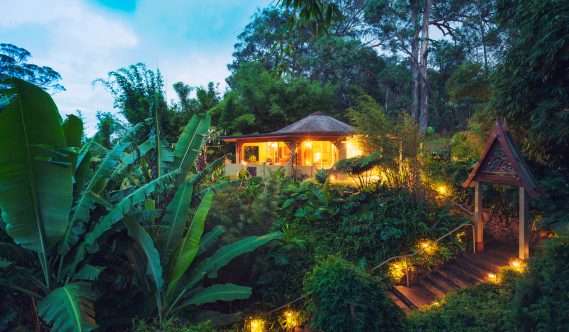 A small, well-lit cottage is surrounded by lush tropical plants and trees, with a path lit by small lights leading to the entrance.