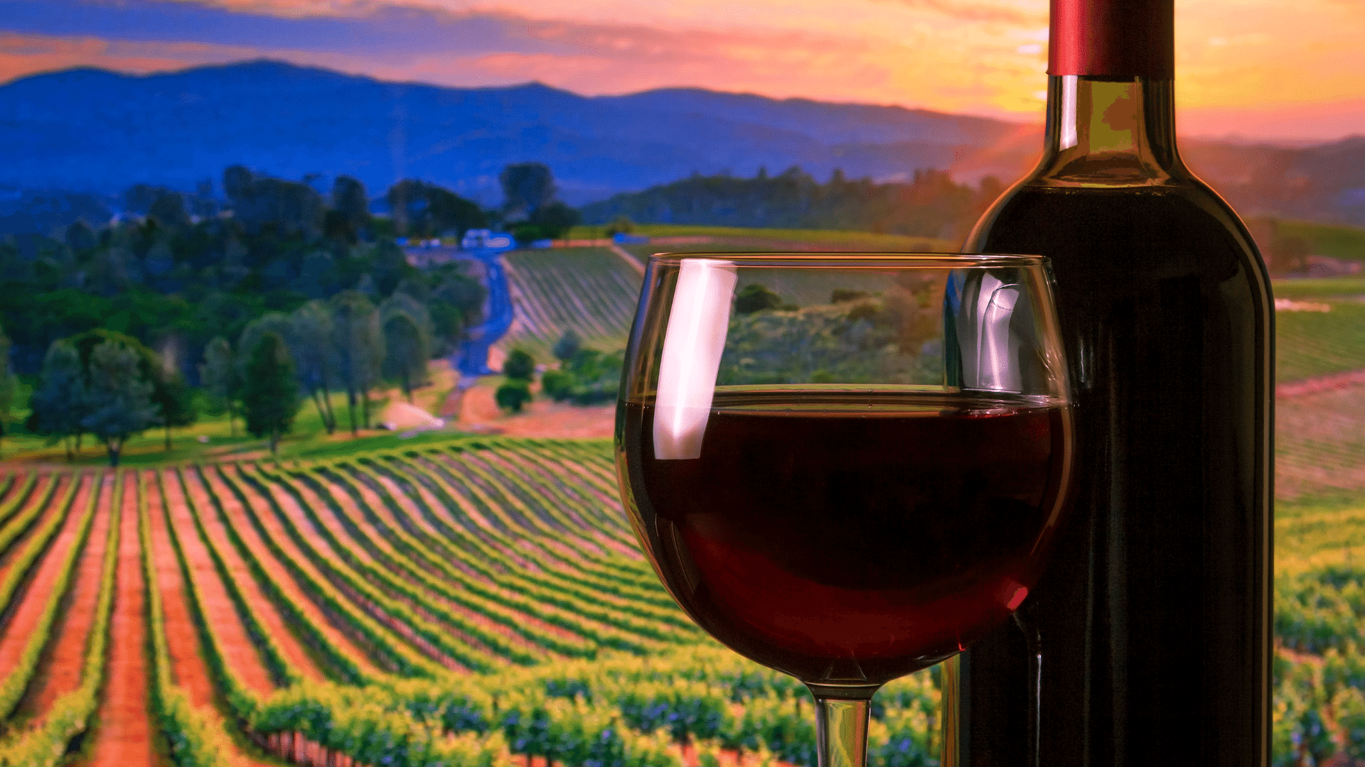 A glass and bottle of red wine are set in front of a vineyard landscape at sunset, with rows of grapevines and rolling hills in the background. A glass and bottle of red wine are set in front of a vineyard landscape at sunset, with rows of grapevines and rolling hills in the background.